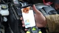 Taksim Meydanı'nda itfaiyeden kedi kurtarma operasyonu