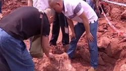 Çin'de dinozor yumurtası bulundu