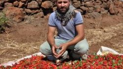Gaziantep'te 5 ton biberi çaldılar