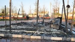 Şanlıurfa'da palmiye ağaçlarını yaktılar