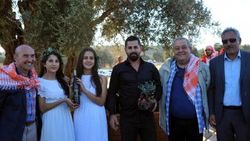 İzmir'de yarım litre zeytinyağı 22 bin liraya satıldı