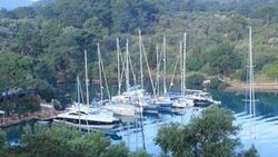 Göbün Koyu ihalesine yürütmeyi durdurma