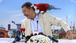 Melih Gökçek'in gözlüğünü almak isteyen papağan