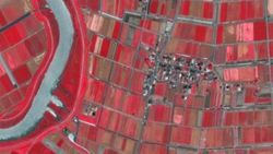 Google Skybox Imaging’i satın alıyor