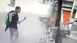 Hintlilerin korkulu rüyası: Maymun saldırıları