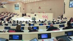 Gürcistan'a 38 yaşında Parlamento Başkanı