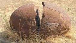 Çin’de 80 milyon yıllık dinozor fosilleri bulundu
