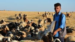Çobanlık yaparken diş hekimliğini kazandı