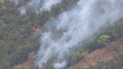 Hakkari'de 5 ayrı noktada orman yangını