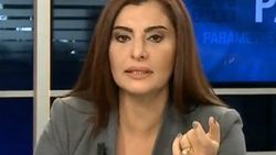 Hande Fırat: YPG silahları kime karşı kullanacak