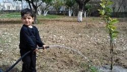 Havuza düşen 3 yaşındaki çocuk kurtarılamadı