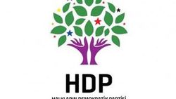 Mardin’de HDP şubesine operasyon