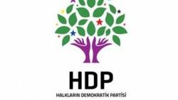 Ethem Sarısülük'ün ağabeyi HDP'den aday gösterildi