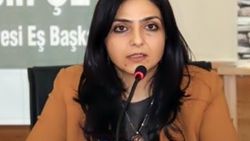 HDP Van Milletvekili Ertan için 5 yıl hapis istendi