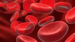 Hemofili nedir