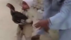 Horozun hayatını kurtaran kahraman çocuk