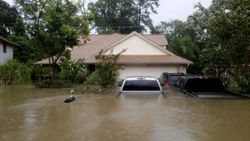 Houston'da sokağa çıkma yasağı