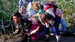 Türk şirketi jiletli tel isteyen Macaristan'ı reddetti