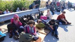 Edirne'deki 800 sığınmacı açlık grevine başladı