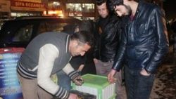 Hakkarililer midye ile tanıştı