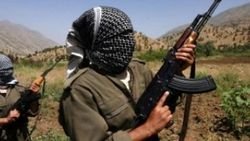 PKK Siirt'te yol kesip araçları yaktı