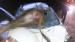 Çankırı'da otomobil ineğe çarptı: 2 yaralı