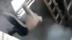 İnşaat işçisi bastığı dalı kesti