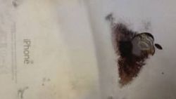 iPhone 6 Phillip'in bacağını yaktı