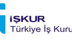 Kırıkkale İŞKUR bin 524 kişiyi işe yerleştirdi