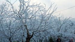 Sibirya soğukları İzmir'de
