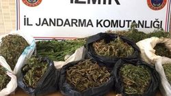 İzmir'de uyuşturucu operasyonu