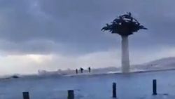 İzmir'de sel mağdurları heykele sığındı