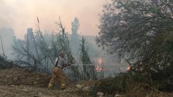 İzmir'de makilik alanda yangın
