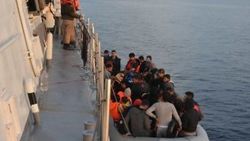 Çanakkale’de 77 kaçak göçmen yakalandı