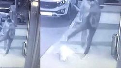 Köpeğe tekme atan kişi gözaltına alındı