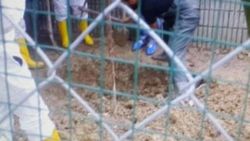 Kayıp işadamı kümese gömülü vaziyette bulundu