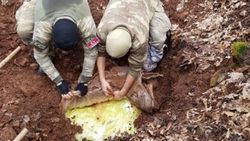 Tunceli’de 6'sı ödüllü 17 terörist etkisiz hale getirildi