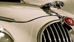 Jaguar Türkiye'de fabrika açıyor