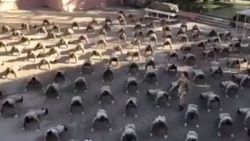 Kadın askerlerden Afrin mesajı