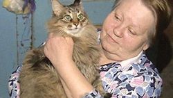 Sokağa terkedilen bebeği kedi kurtardı