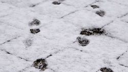 Meteorolojiden kar uyarısı