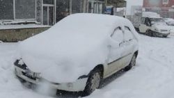 Başkale’de kar 34 mahalle yolunu kapattı