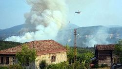 Karabük'te orman yangını