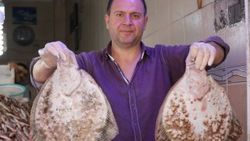 Karadeniz'de büyük balık bereketi