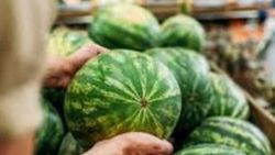Karpuz alırken sakatlanan müşteriye rekor tazminat