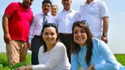 Adana'da 'Ham karpuz timi' kuruldu