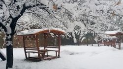 Gümüşhane beyaza büründü