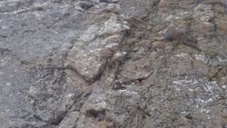 Tırmandığı kayada mahsur kaldı