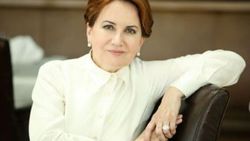 Meral Akşener MHP'nin kapattığı teşkilata gidiyor