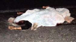 Kamyonet otomobille çarpıştı:3 ölü